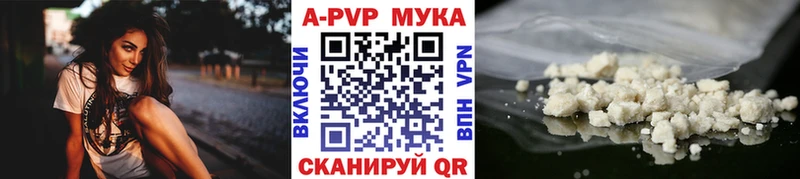 дарнет шоп Котлас APVP СК