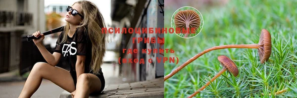 mdpv Баксан