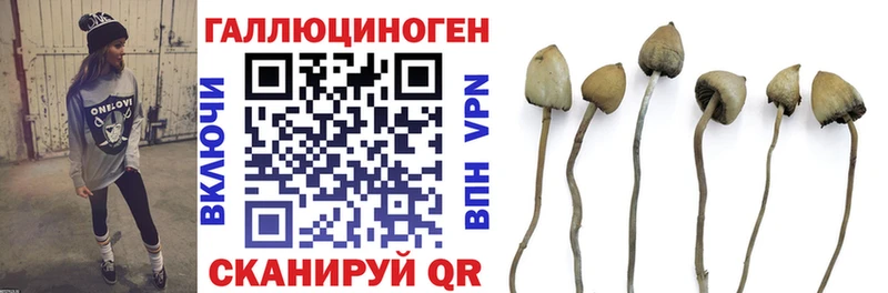 Псилоцибиновые грибы MAGIC MUSHROOMS  Котлас 